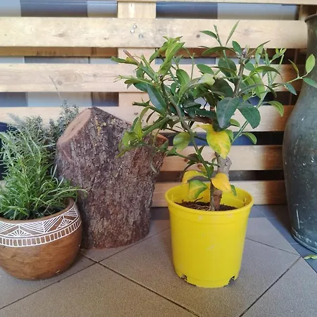 Hotell Rural Zorita Zorita del Maestrazgo